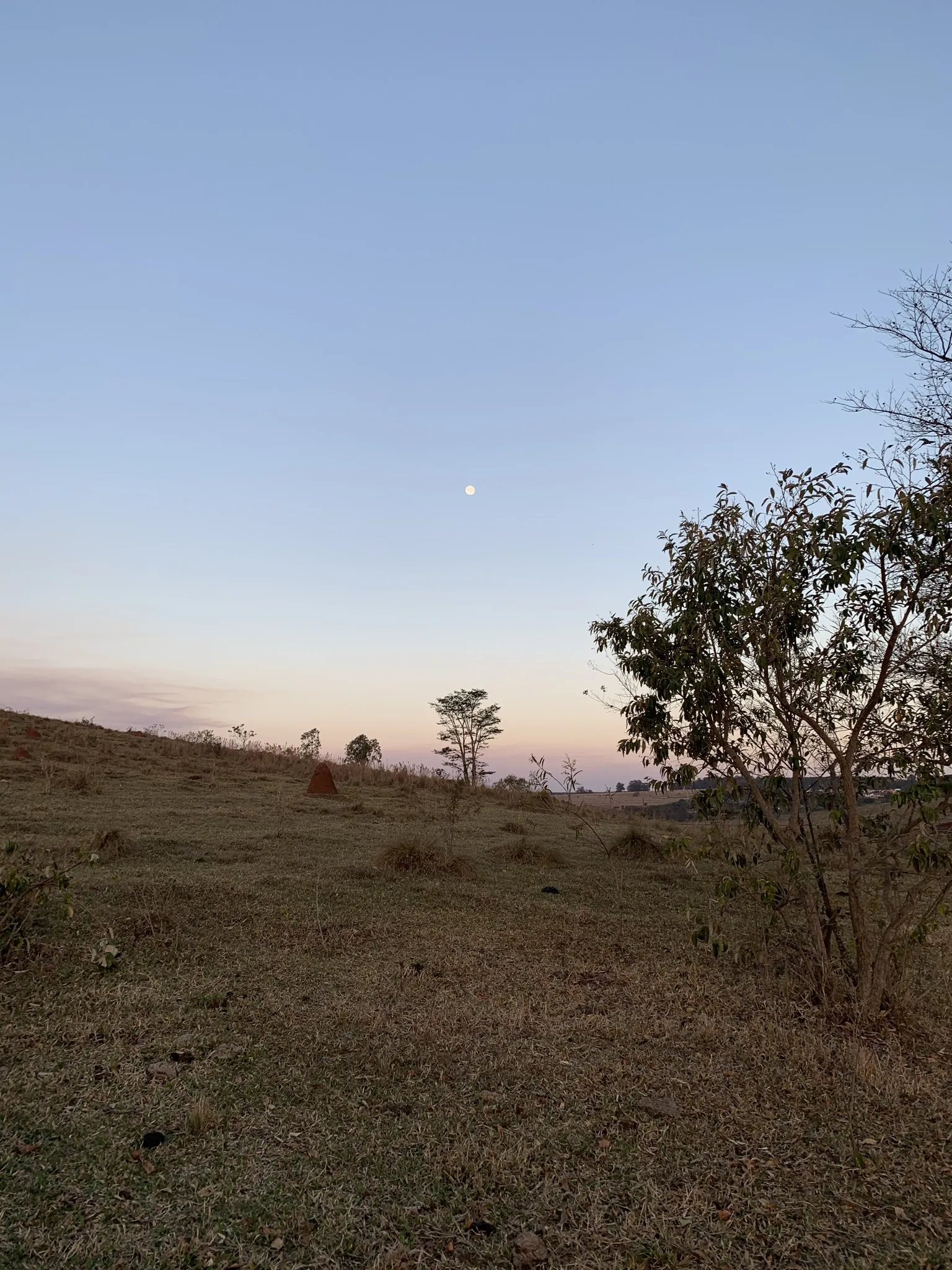 Benjamin Gautier OnlyFans header