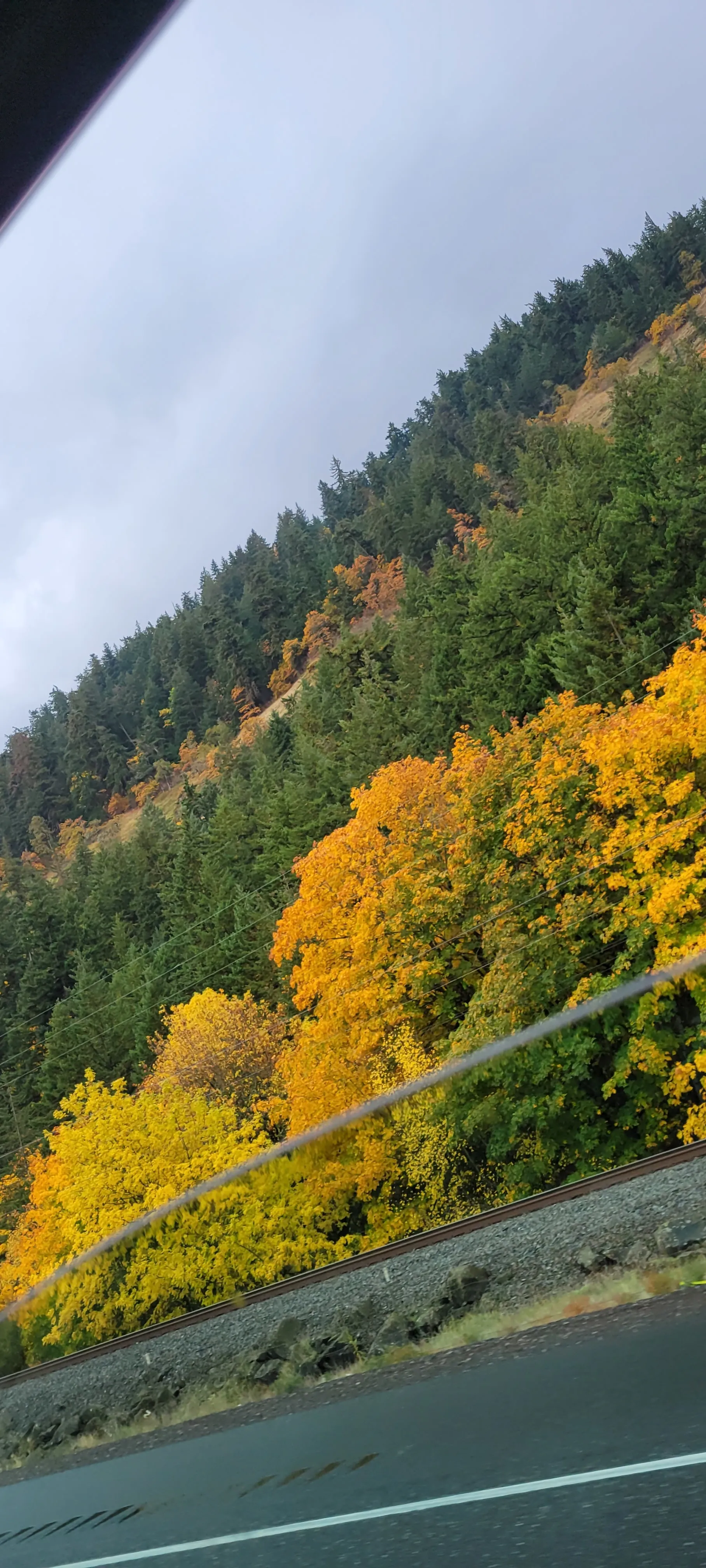 Hønnyglaze OnlyFans header