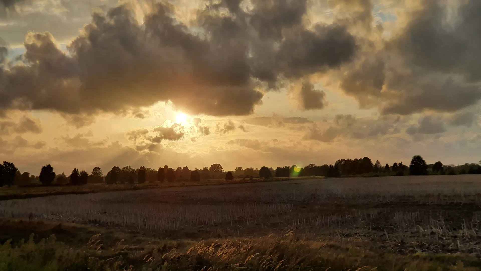 BG centrs OnlyFans header