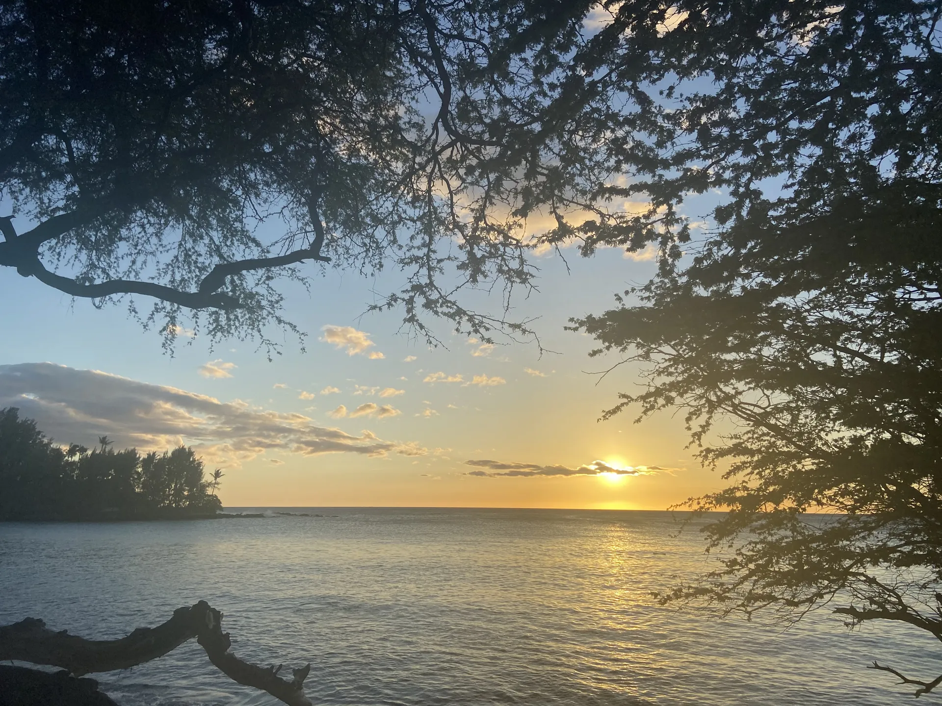 Taylor :) OnlyFans header