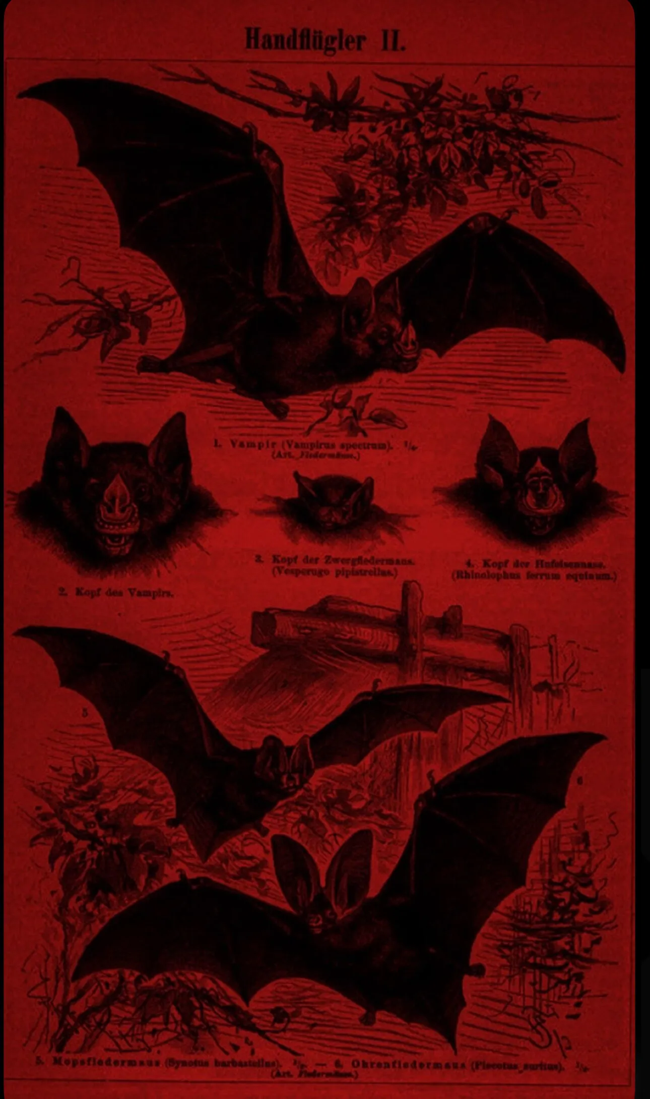 Jessie OnlyFans header