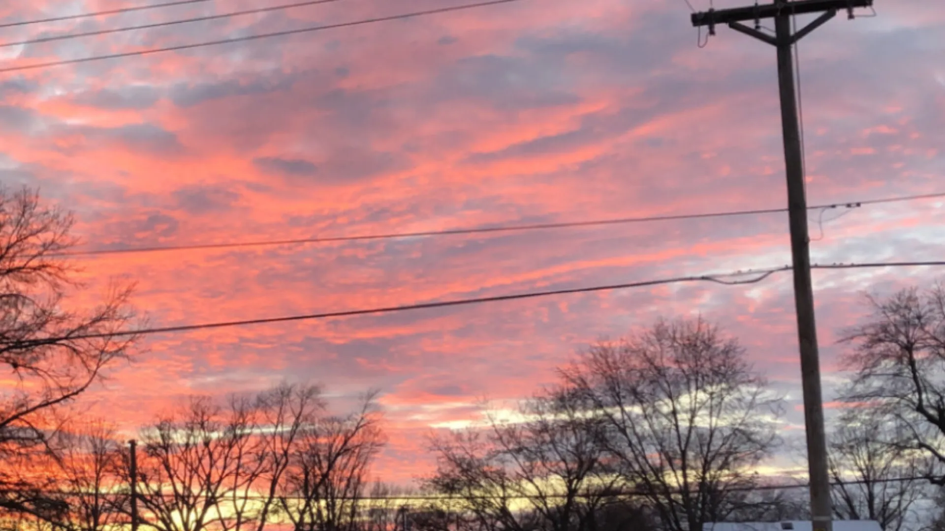 Reign Gray OnlyFans header