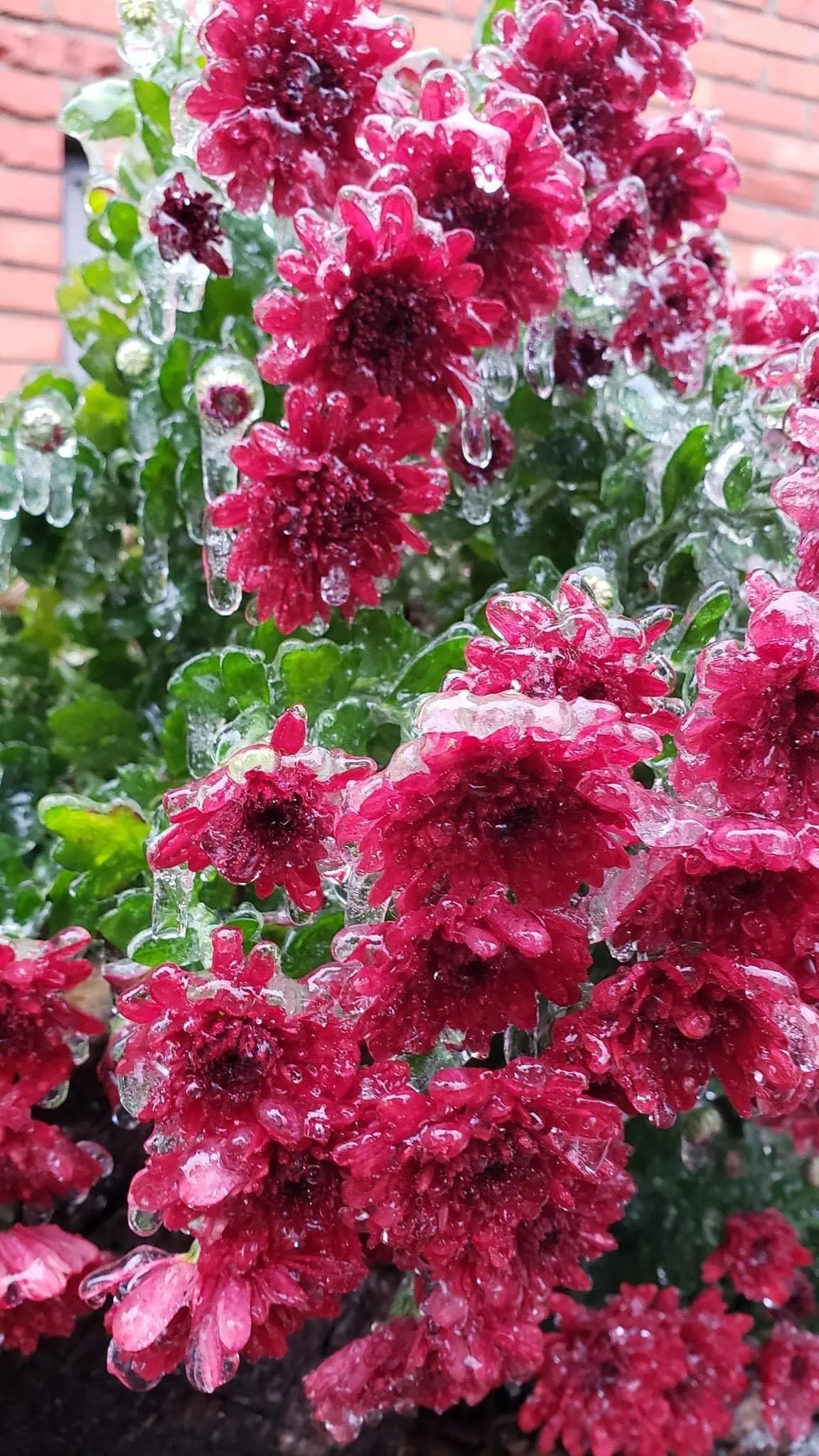 Jessica Alson OnlyFans header