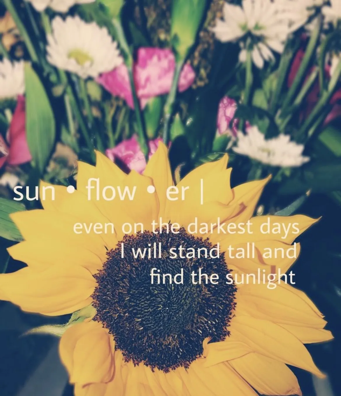 Qxeen OnlyFans header