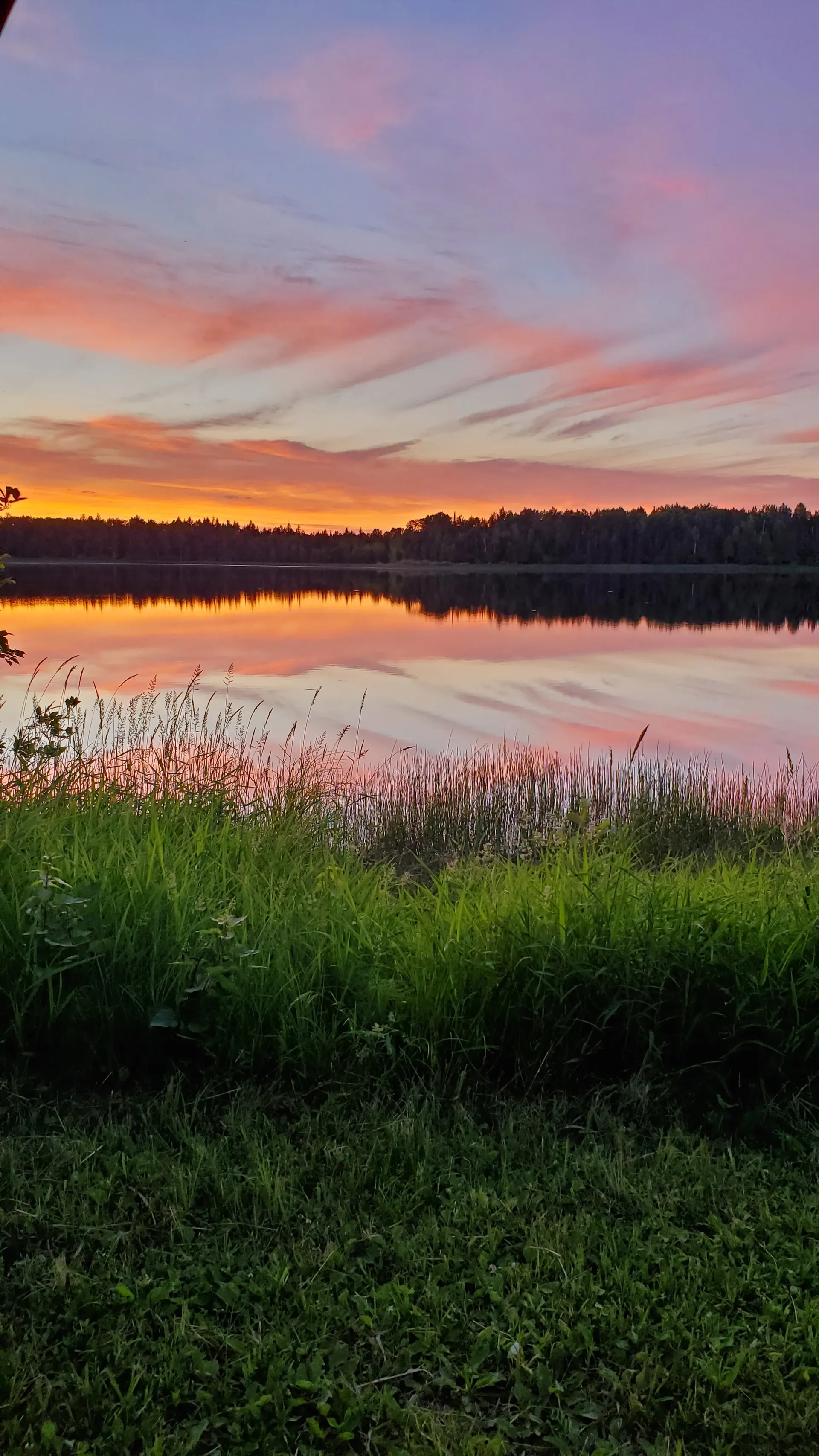 HansB OnlyFans header