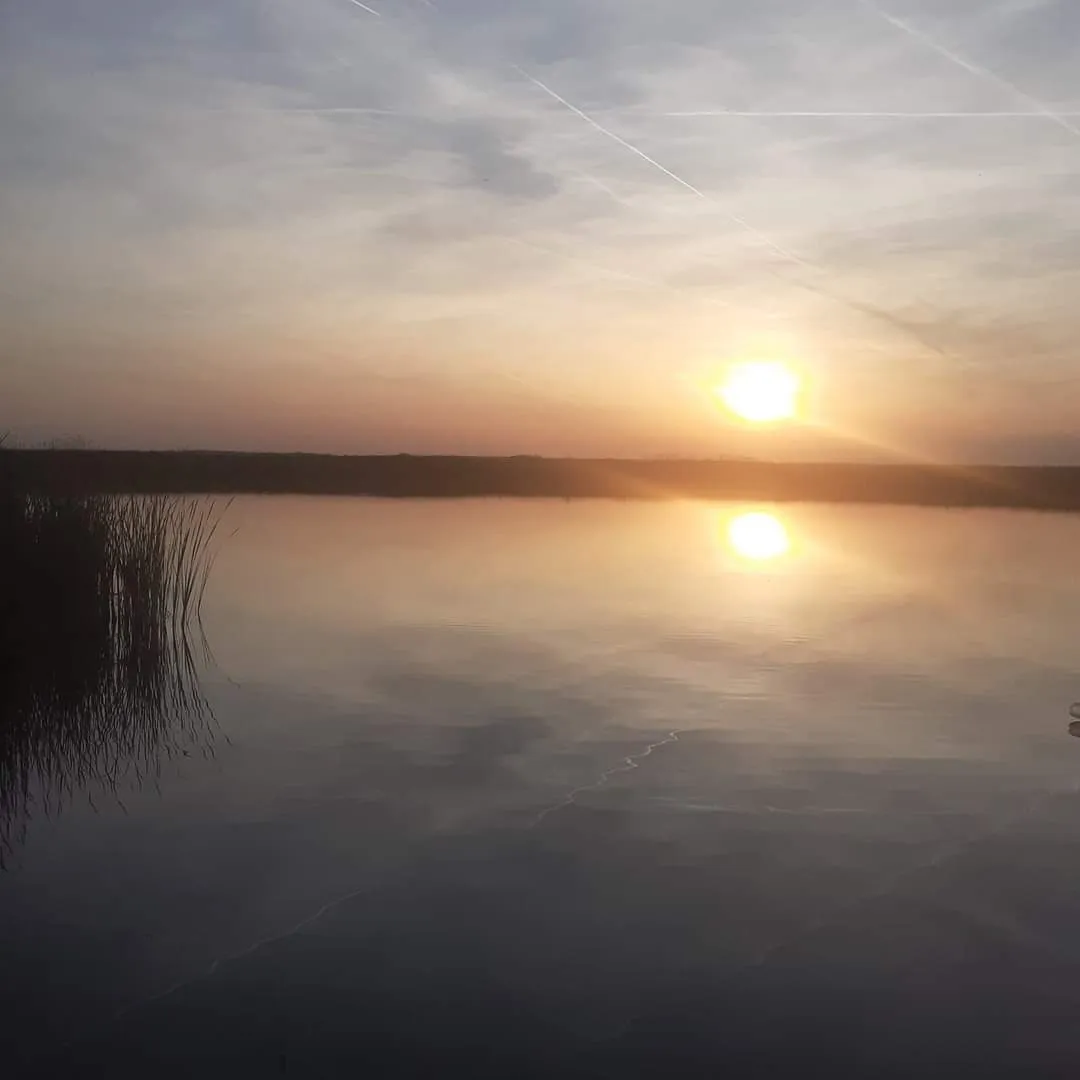 Bharbie OnlyFans header