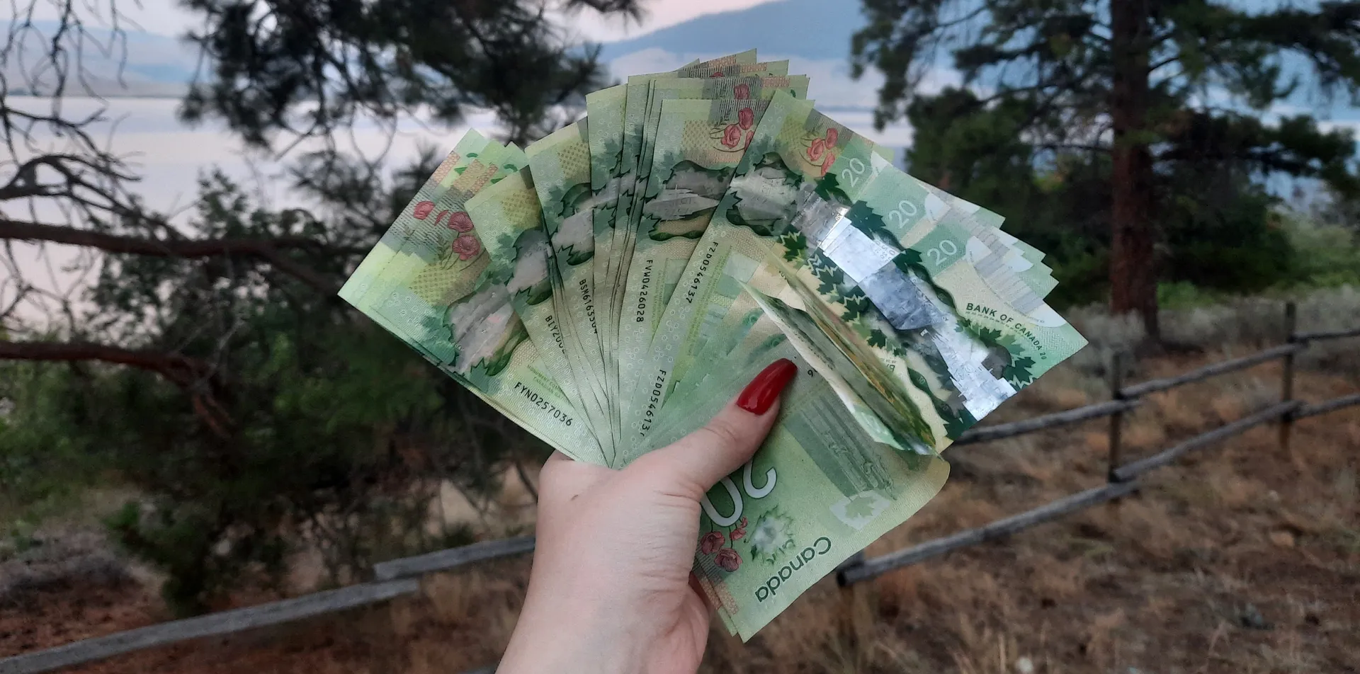 💸Mistress Bridget💸 OnlyFans header