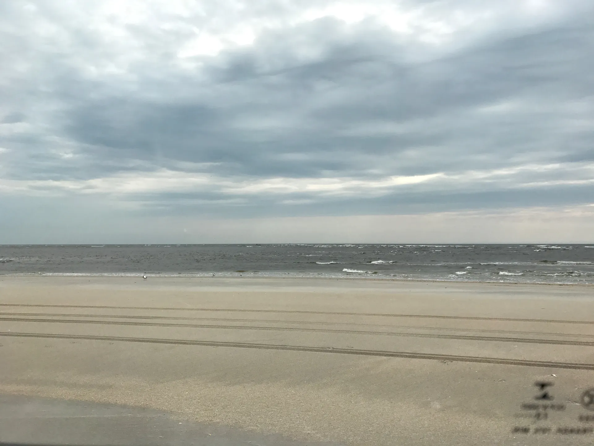 Pepper 🌶️ OnlyFans header