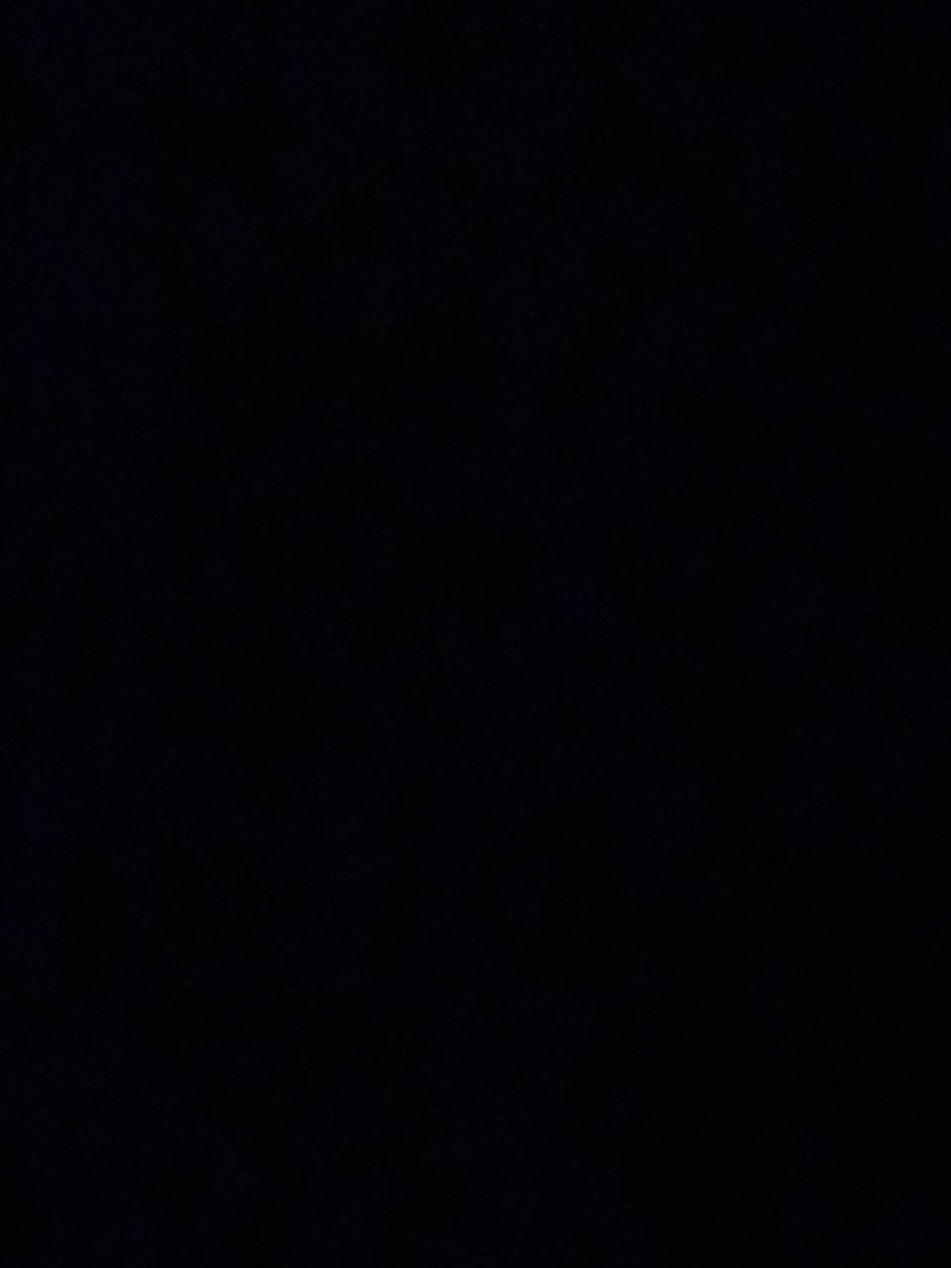 BiTop2021 OnlyFans header