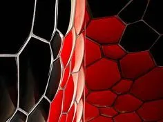 Cody OnlyFans header