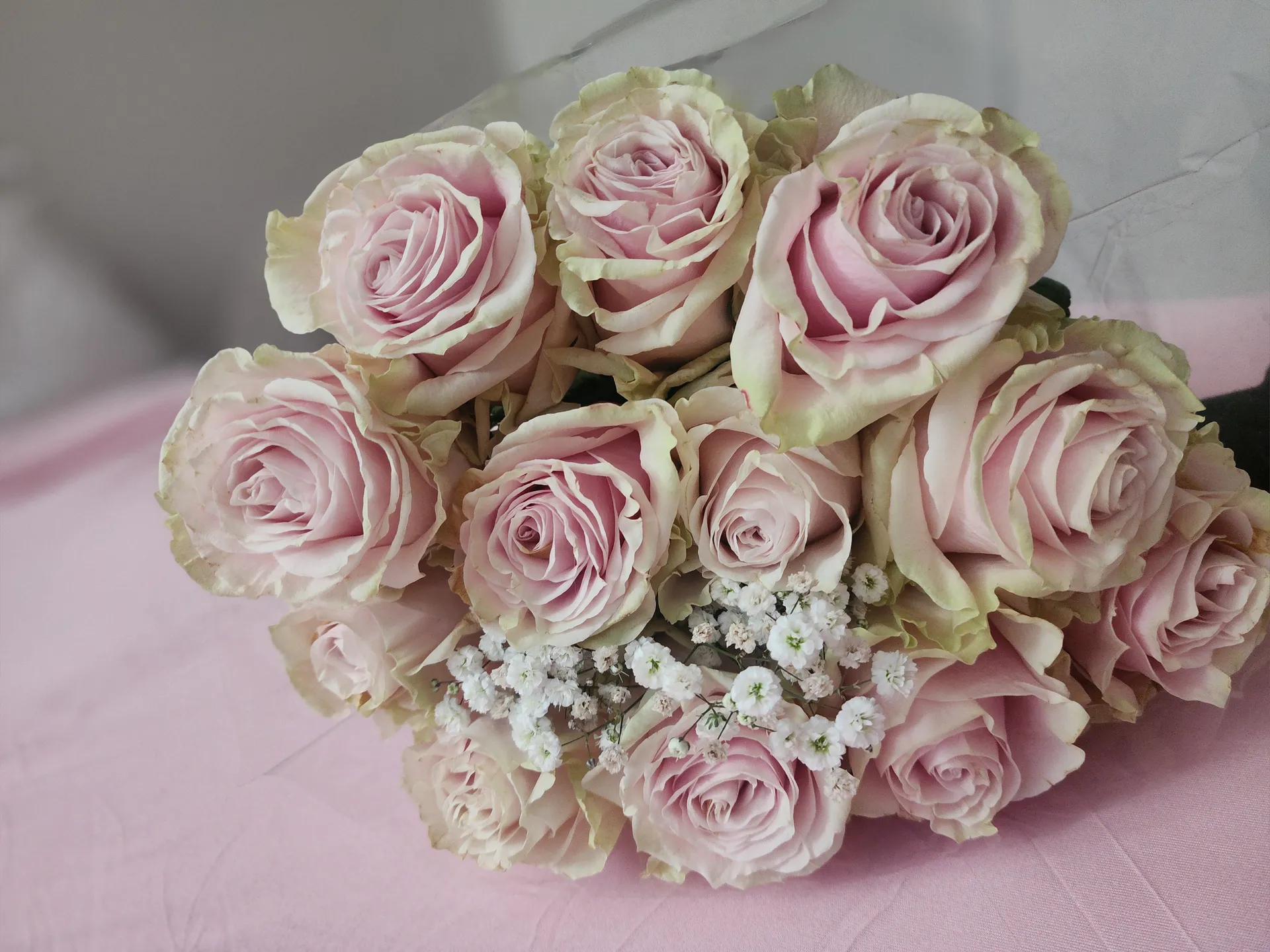 Bia Bunnii OnlyFans header