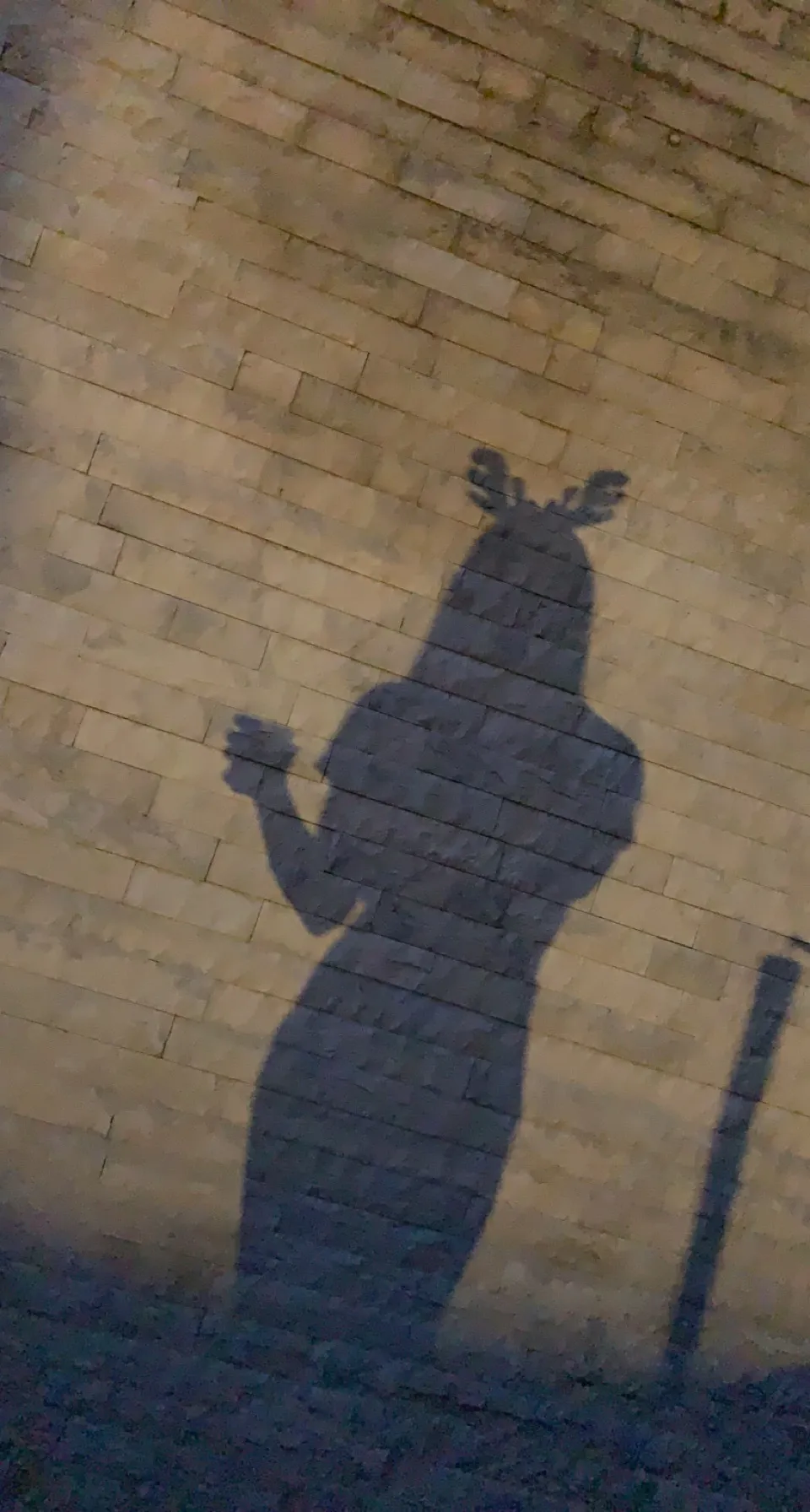 Bianca Bucur OnlyFans header