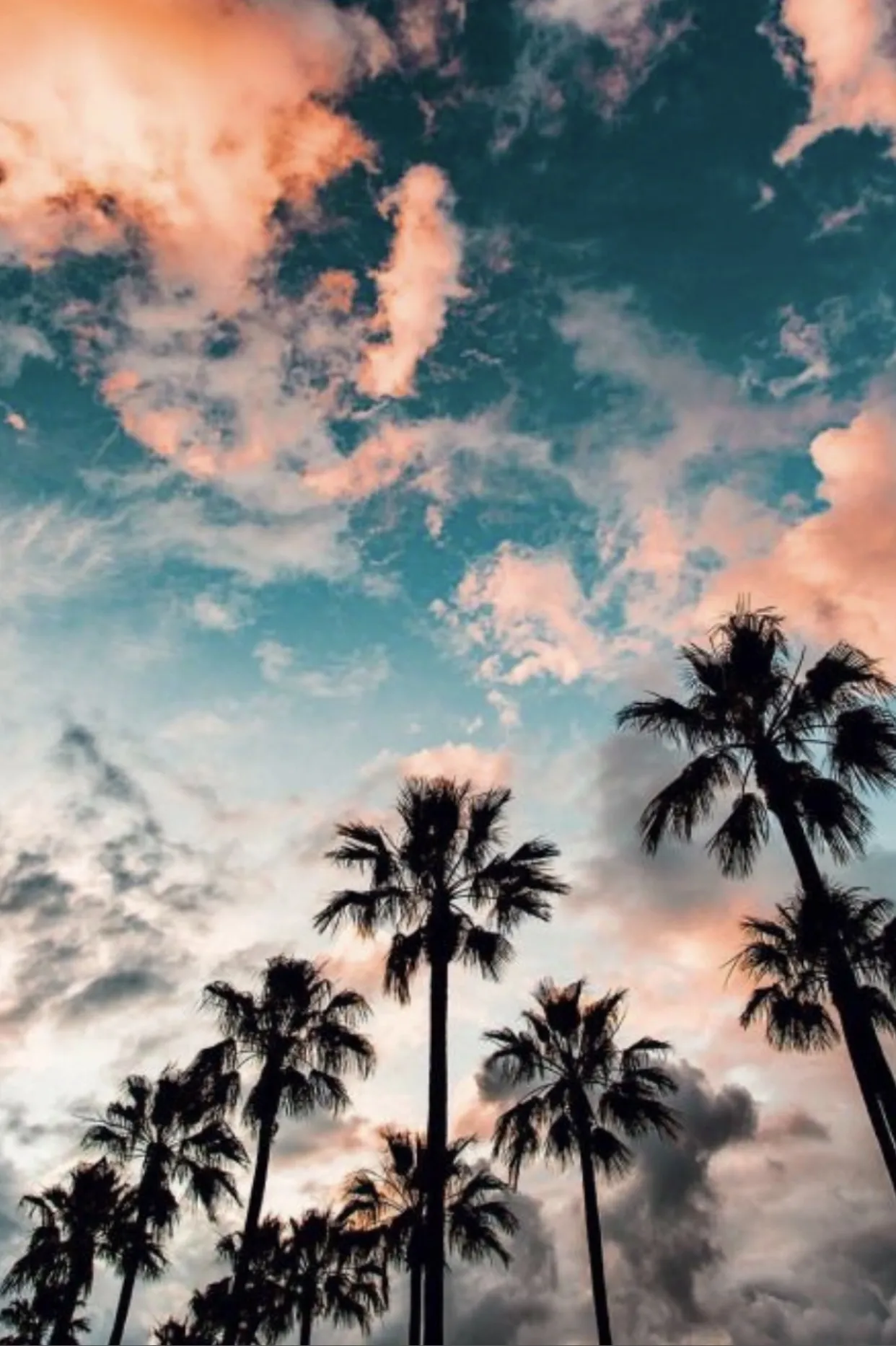 Bianca Bonnie ✨🤎 OnlyFans header