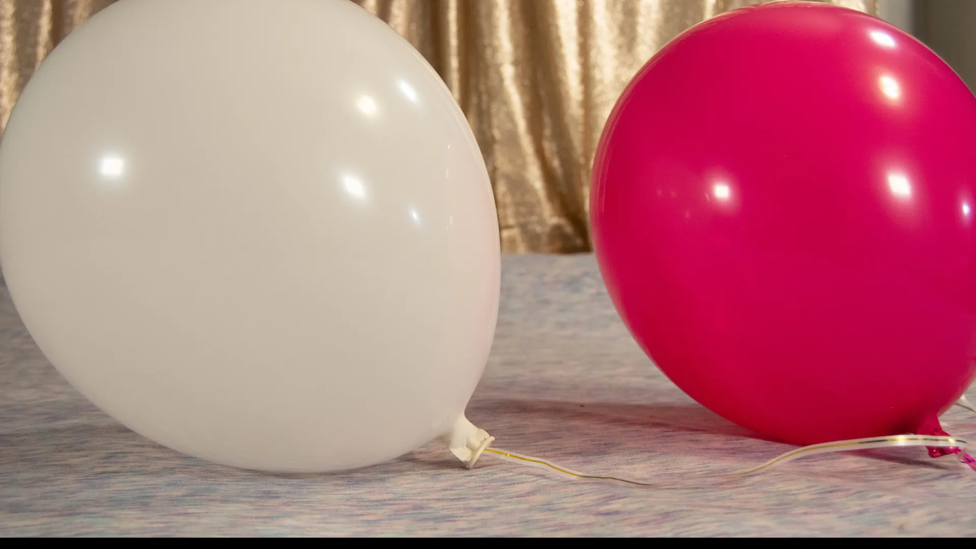 Bianca Bee Loons OnlyFans header