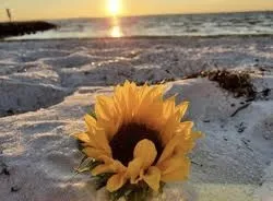 Bianca OnlyFans header