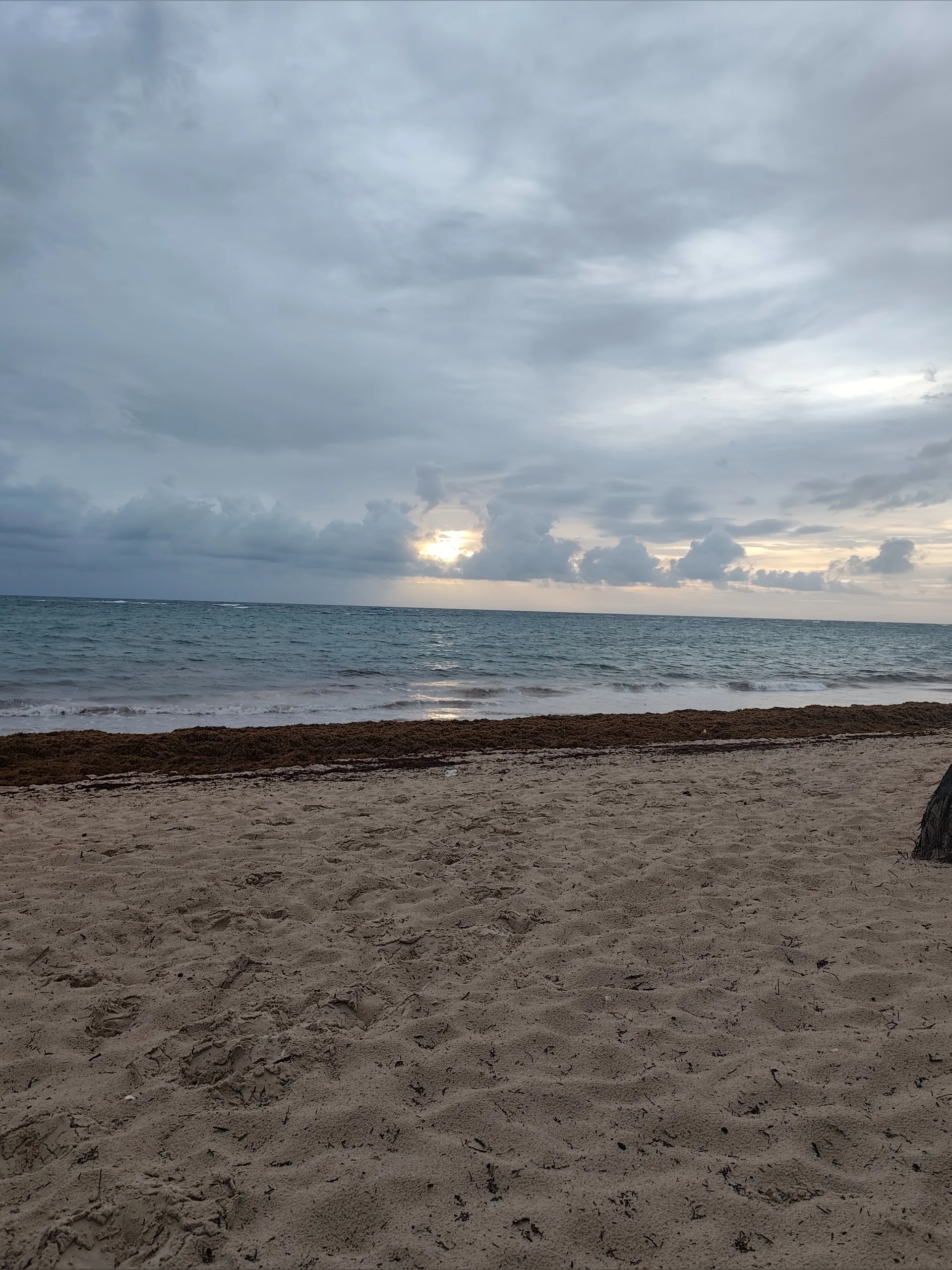 Bianca Moretti OnlyFans header