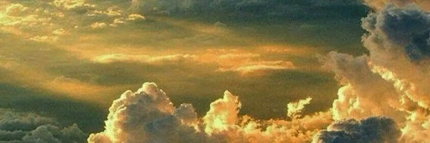 Biandi 🦄 OnlyFans header