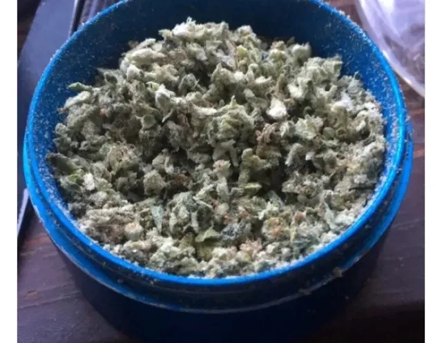 Bibaby OnlyFans header