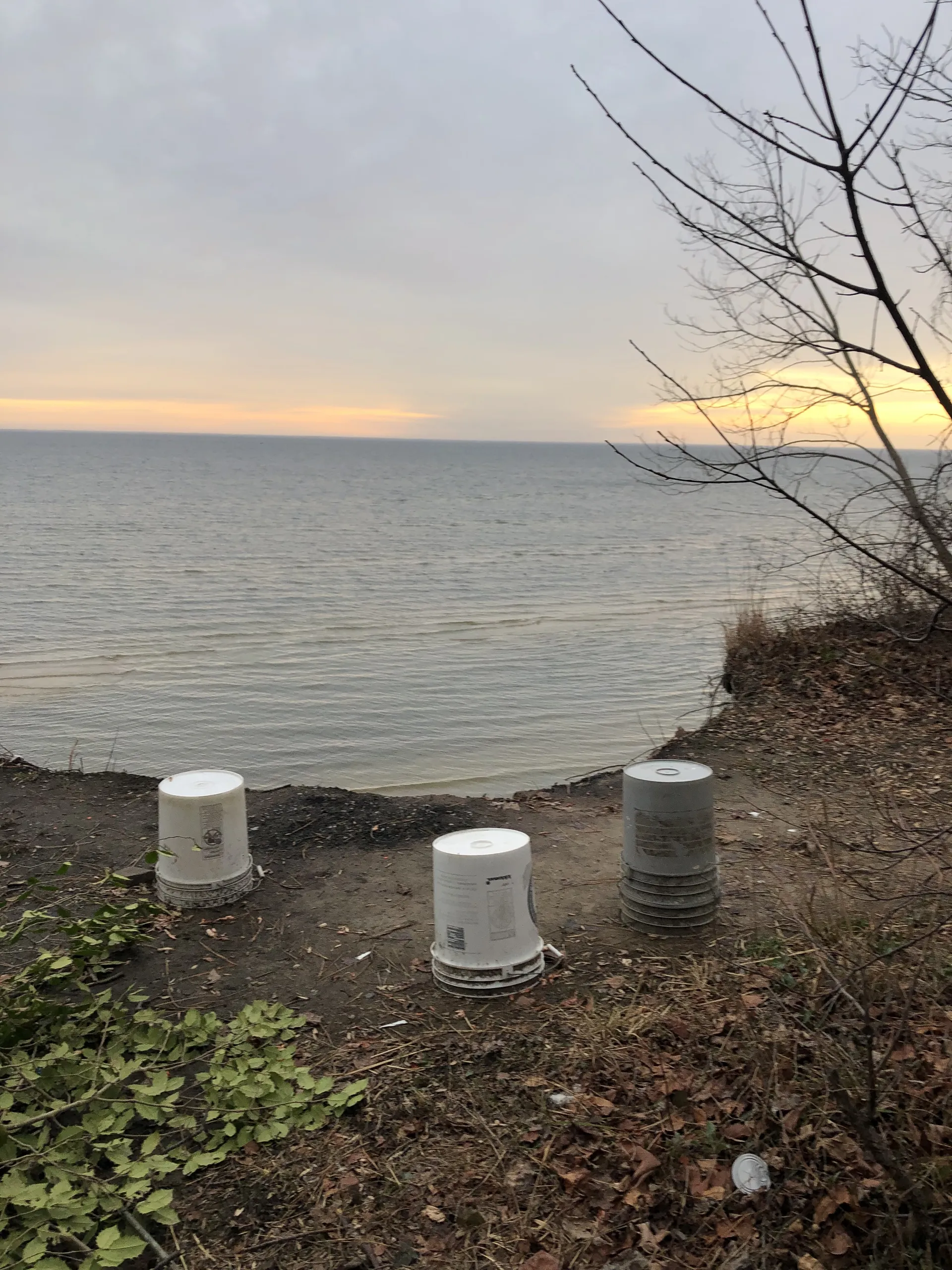 Bibble OnlyFans header