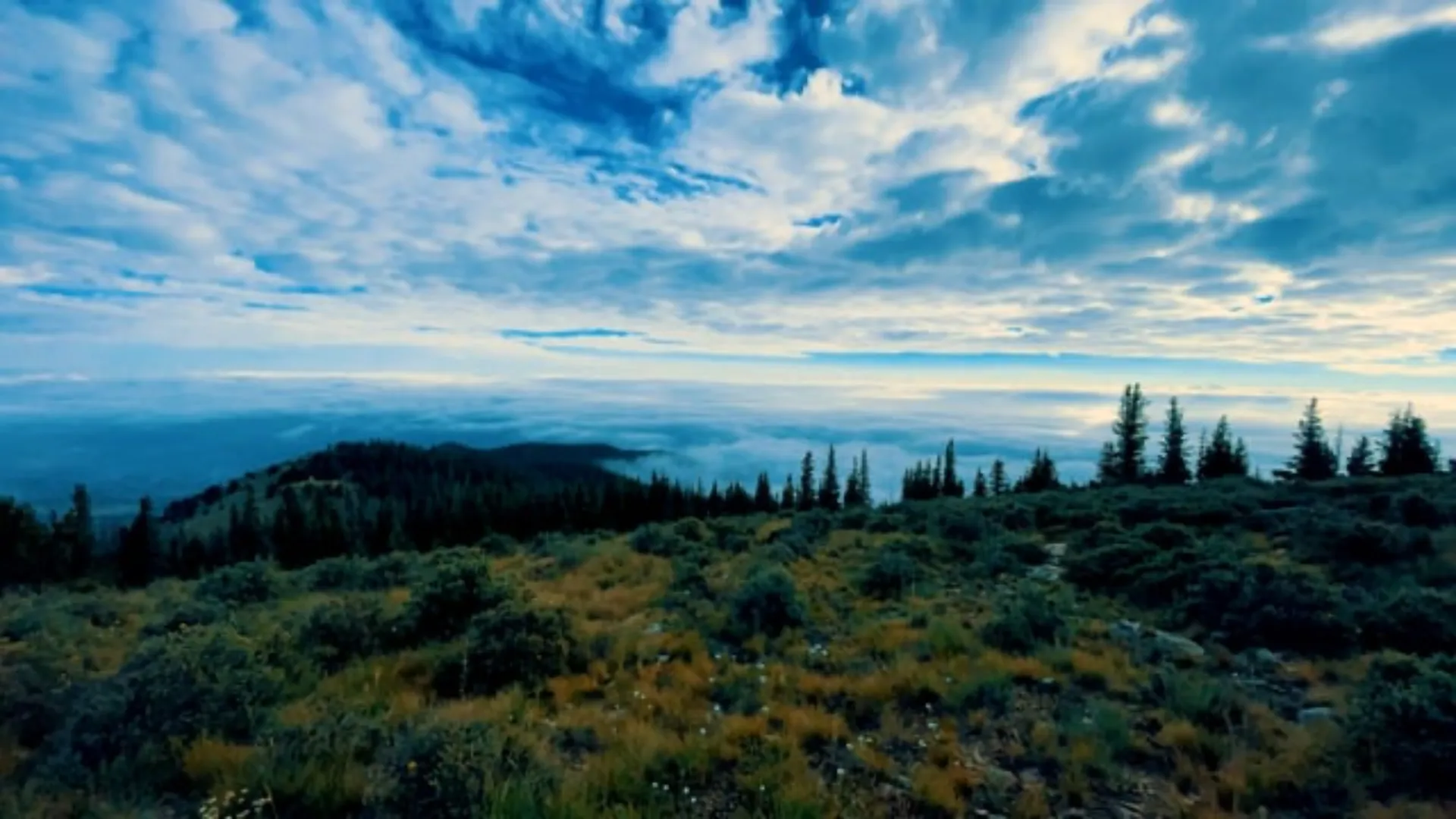 BiBearMan OnlyFans header