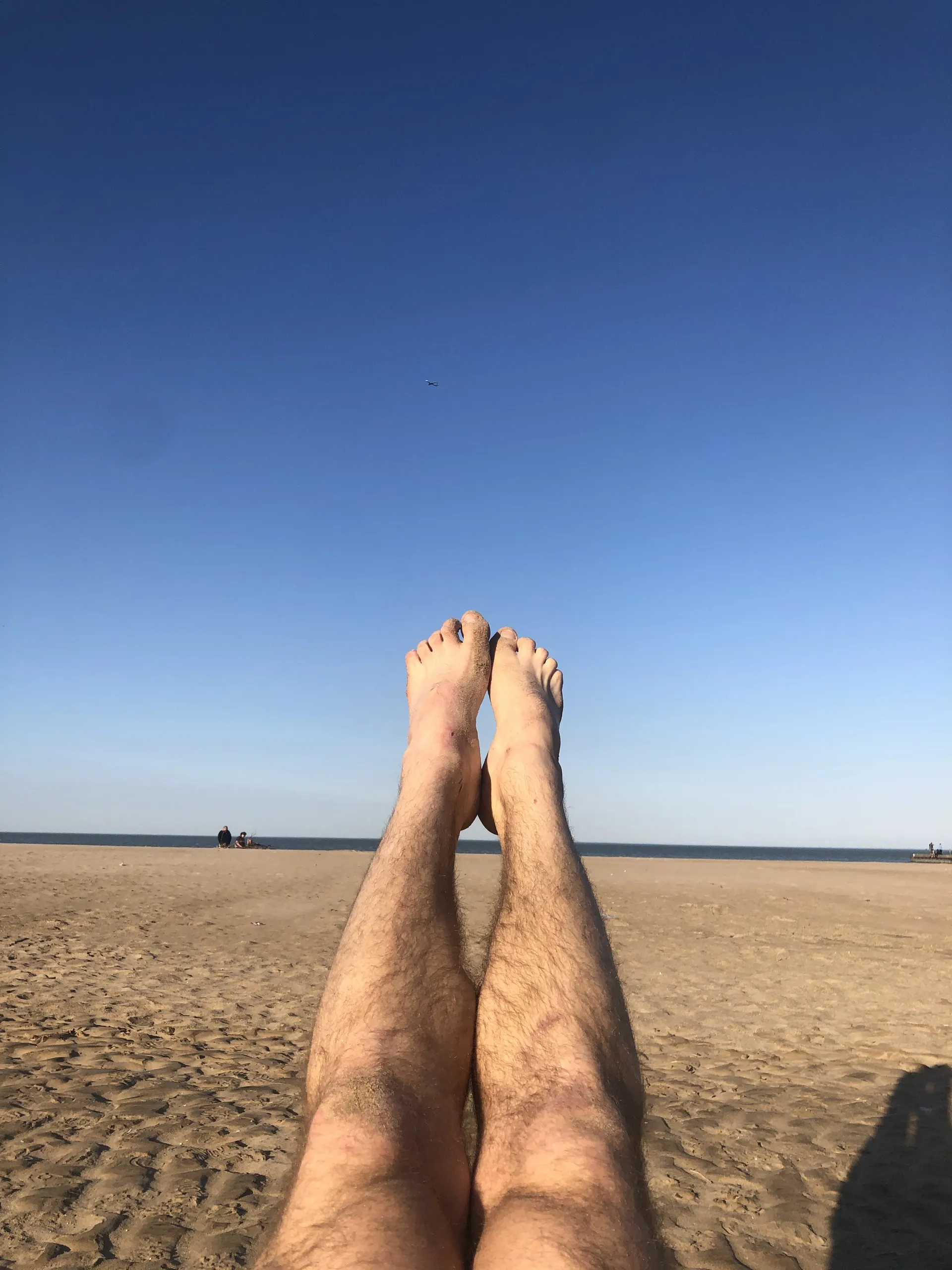 BiBearVersSwitch OnlyFans header