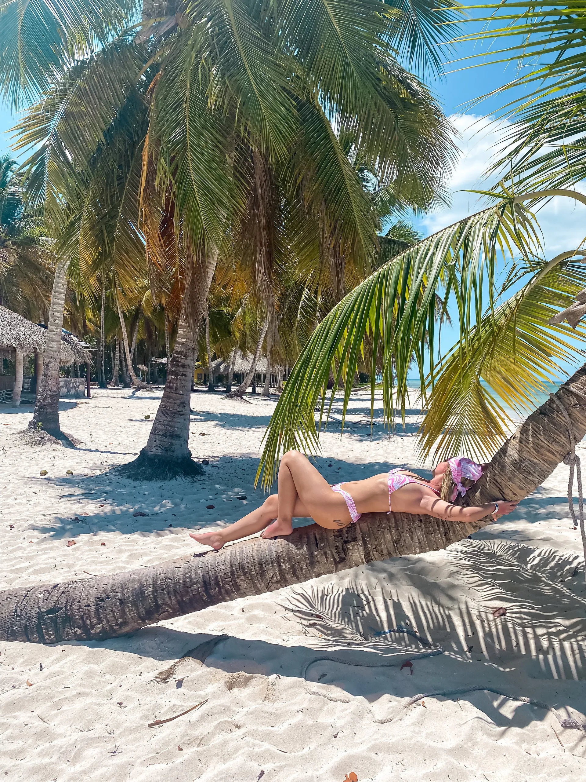 Bianca OnlyFans header