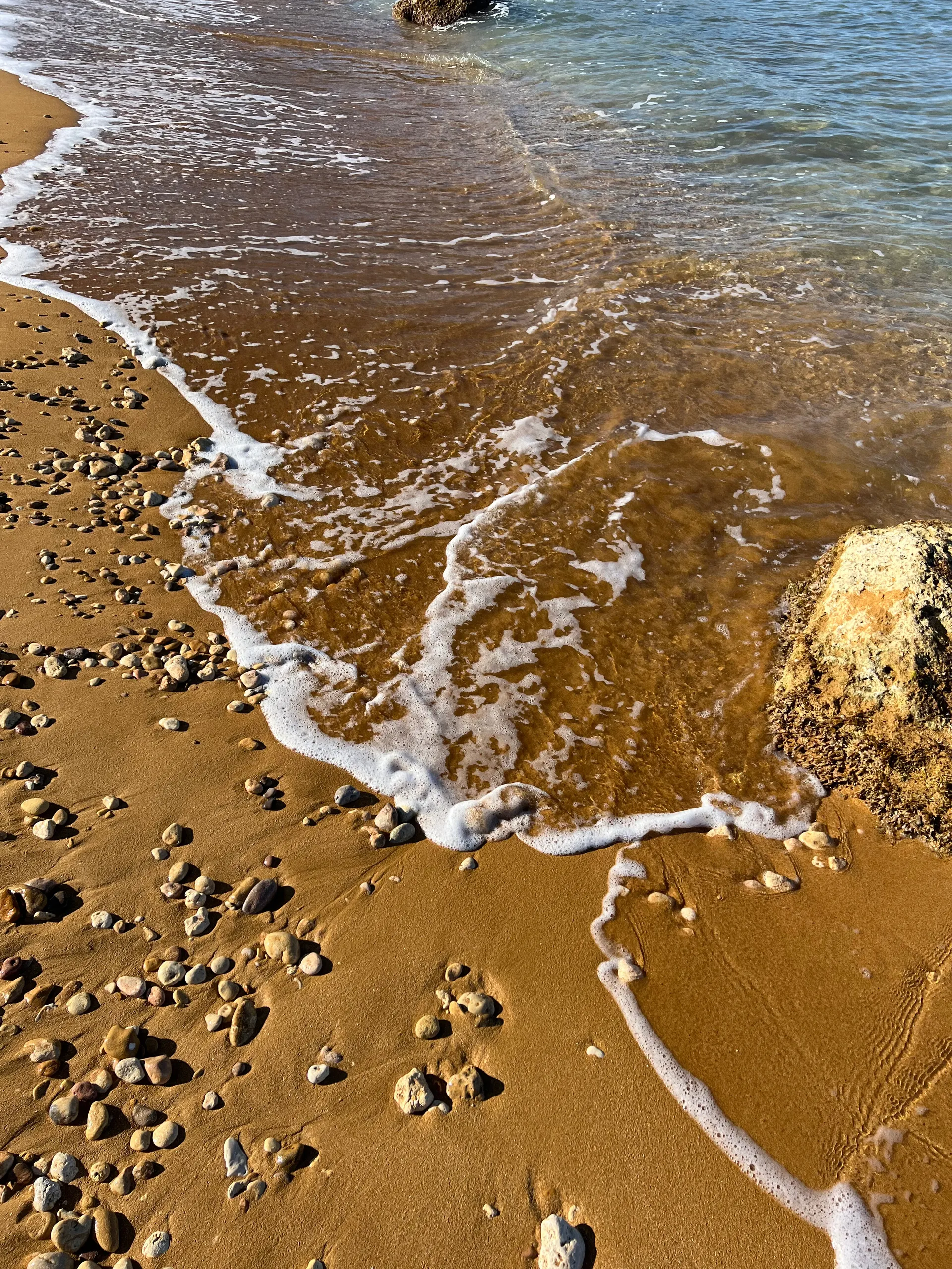 Polish Babe OnlyFans header