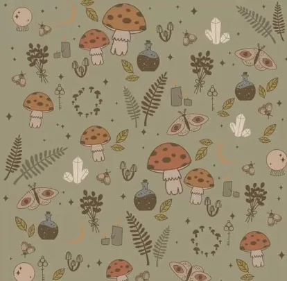 Bibi OnlyFans header