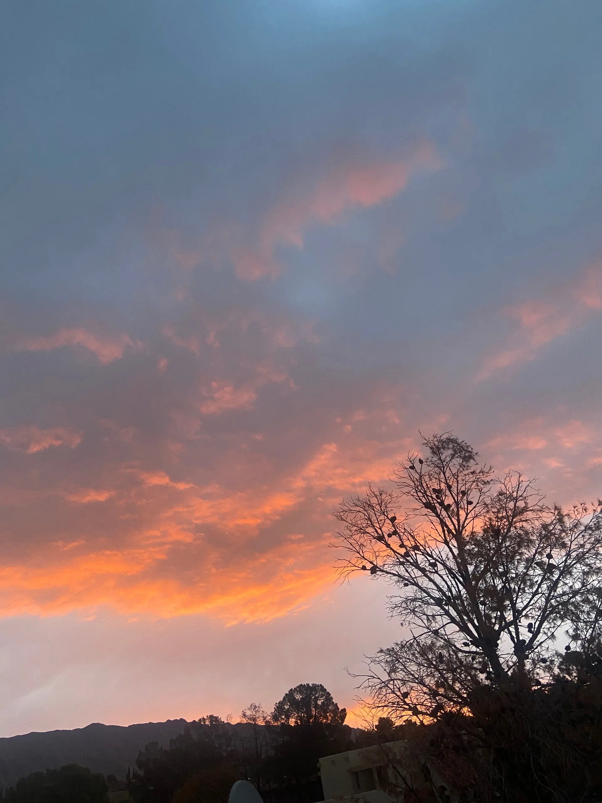 Bibliophile42 OnlyFans header