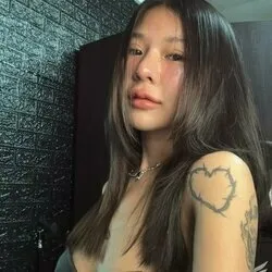 จ้าวเมมีแมวฉามตัว