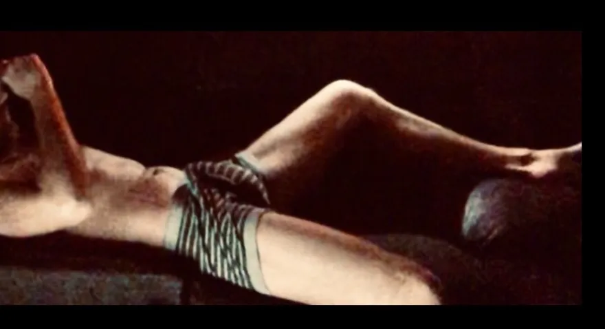 Bicuriouscollegeprof OnlyFans header