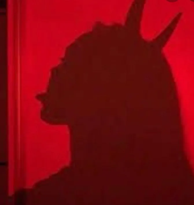 BienBerraca OnlyFans header