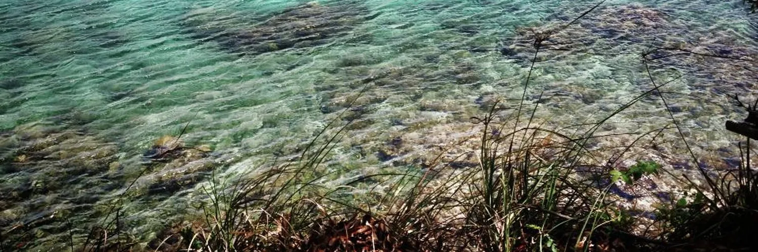 Biengrossa OnlyFans header