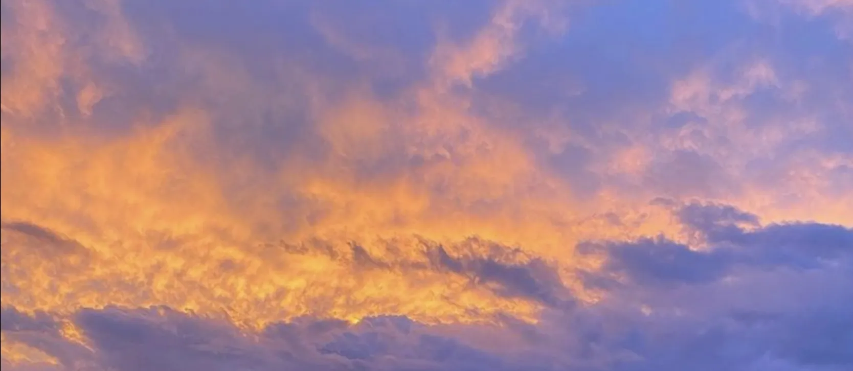 BiFemBoi OnlyFans header