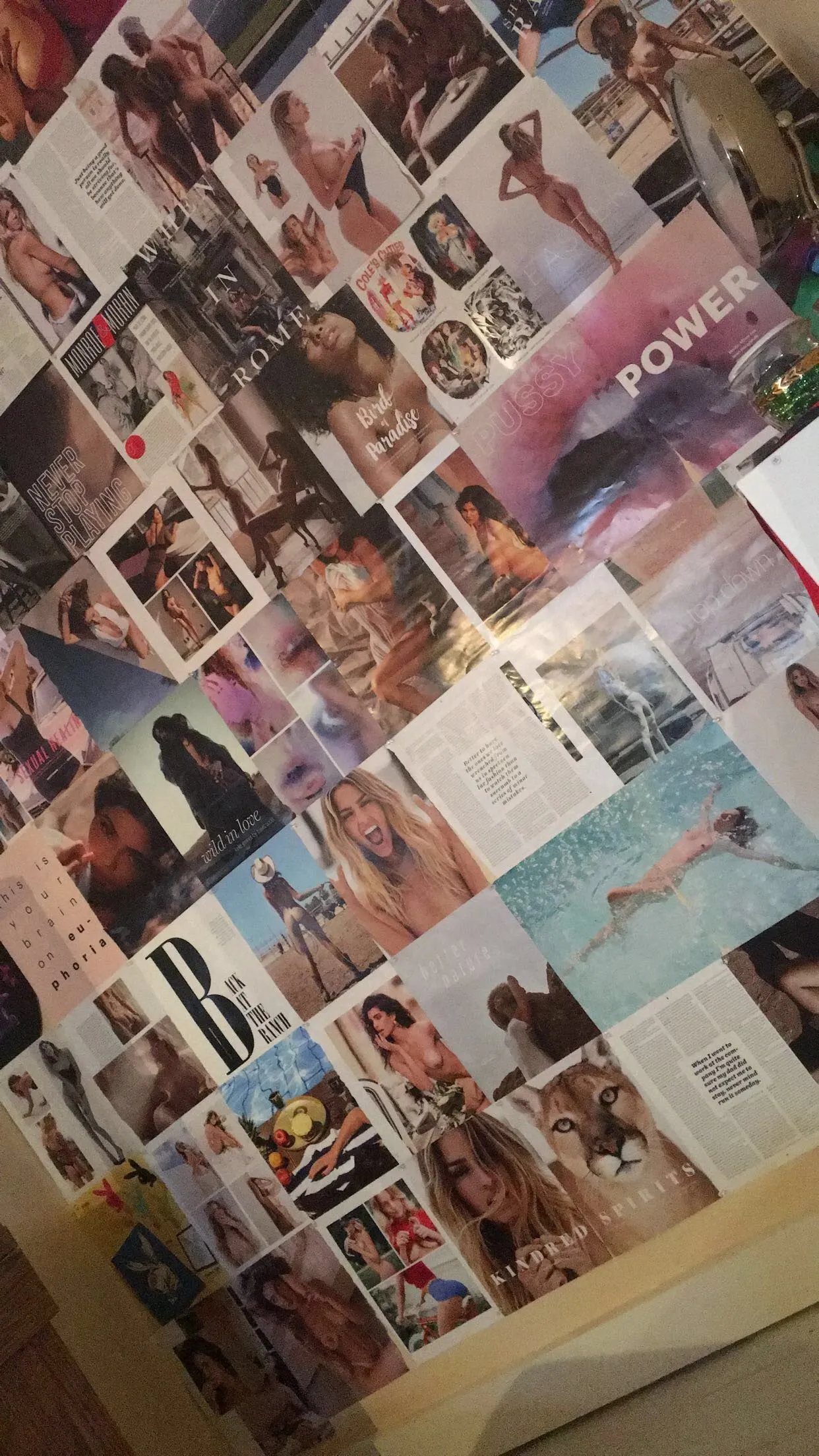 busty OnlyFans header