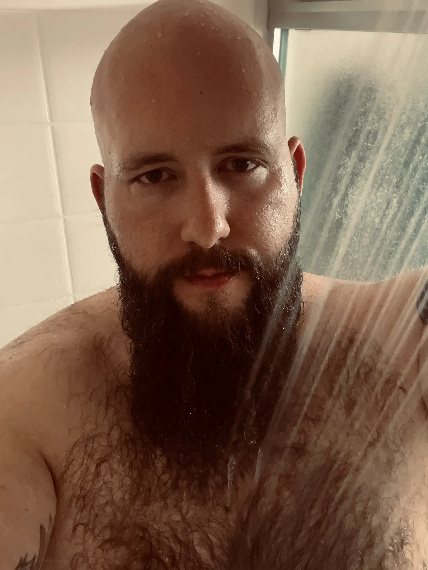 Big-bearded-daddy