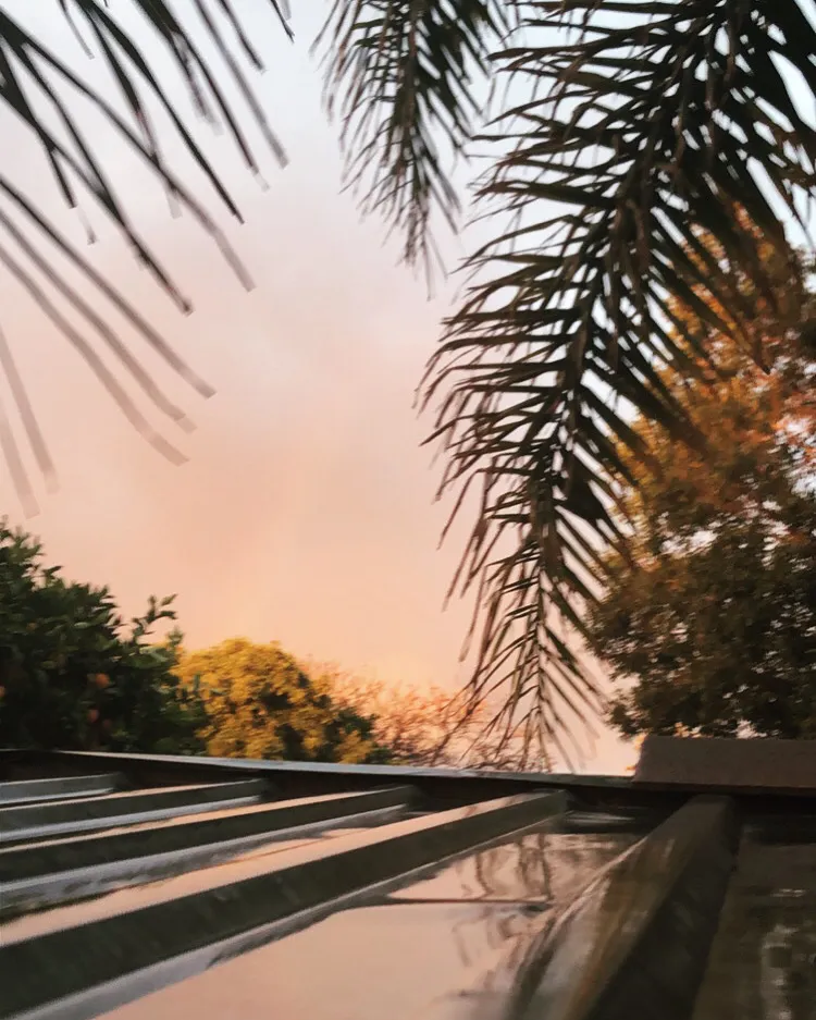 Big D Aussie OnlyFans header