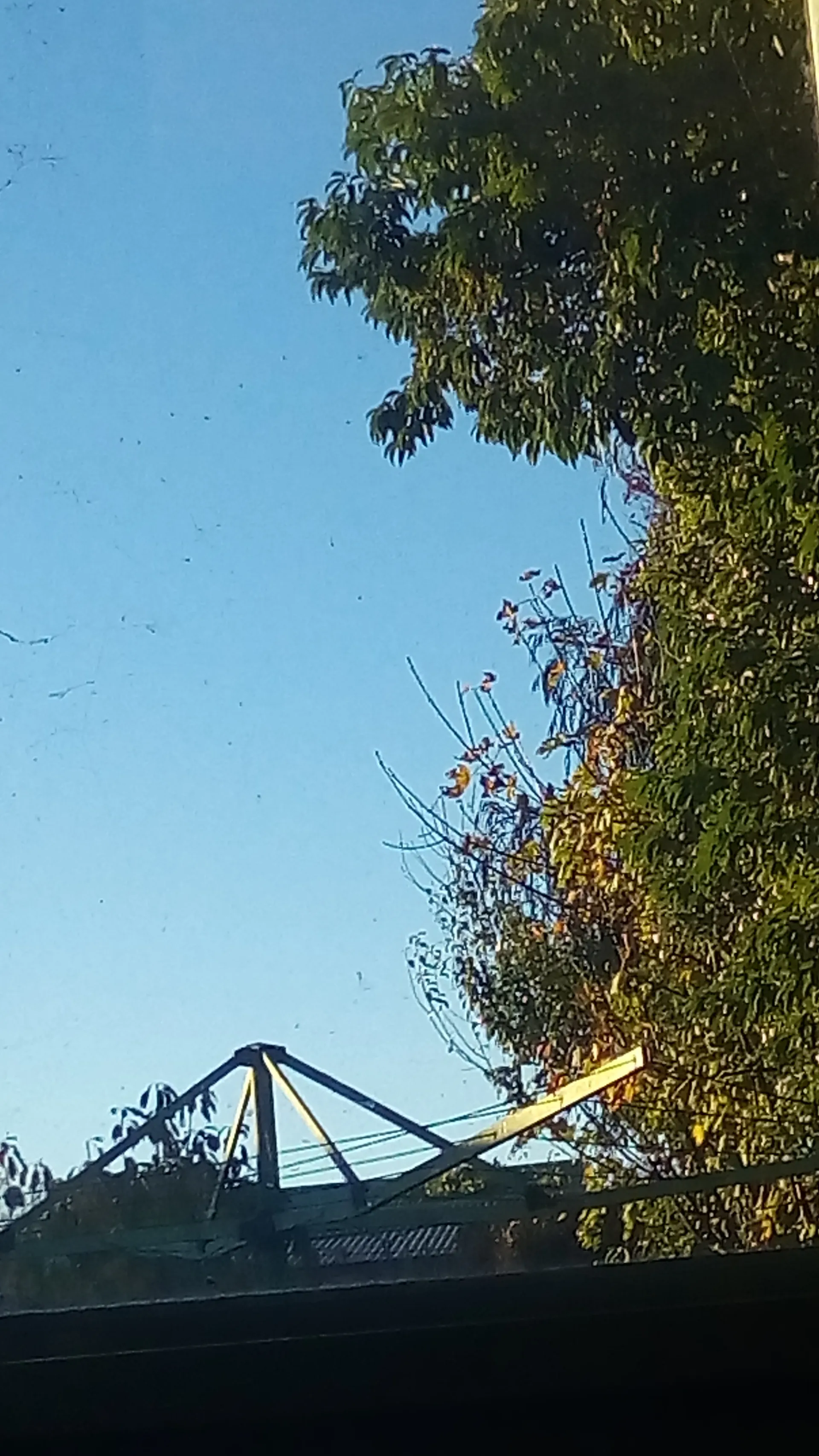 Josh OnlyFans header