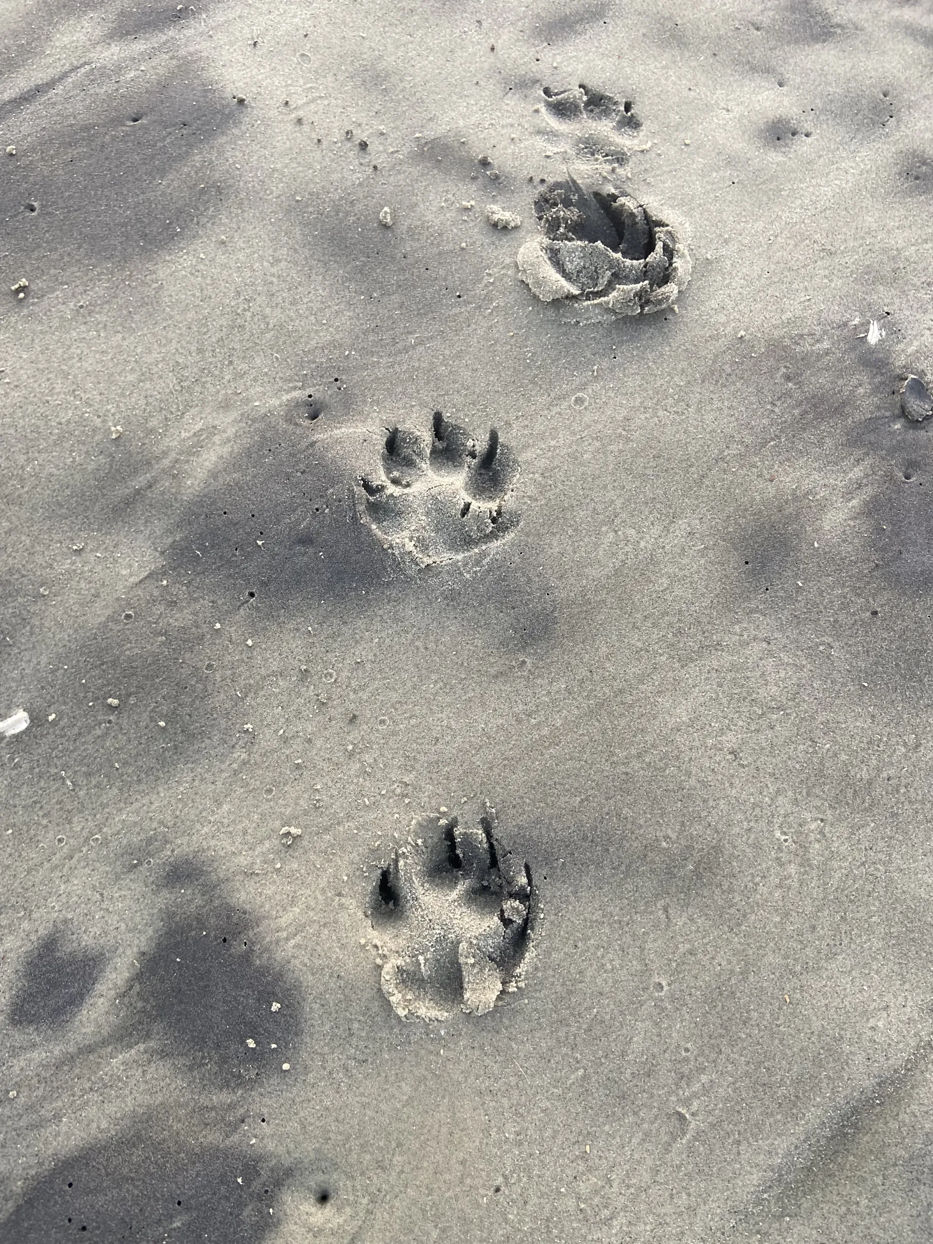 Big.beautifulme OnlyFans header