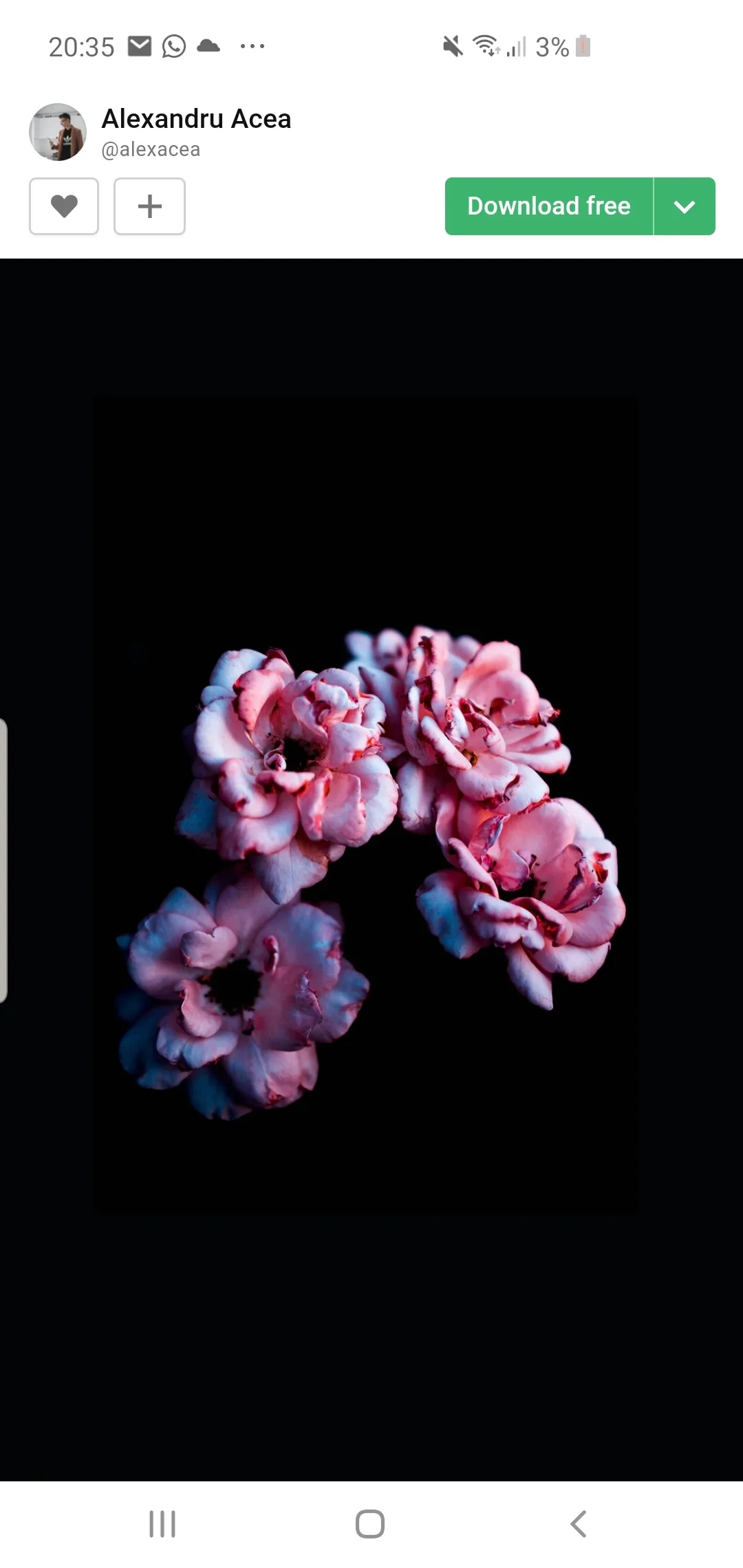 Blue eyed girl 😘 OnlyFans header