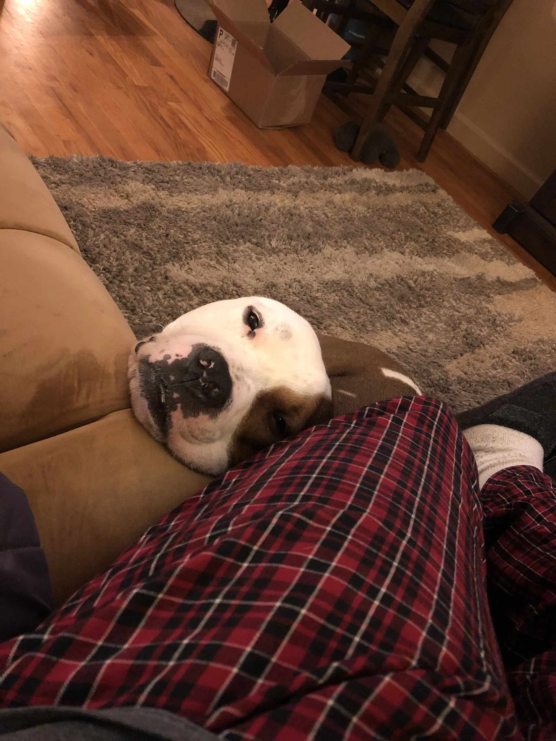 Bubbz OnlyFans header