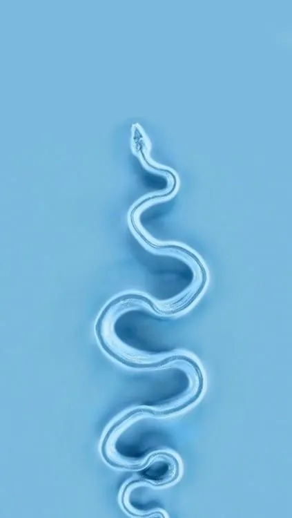 Bigbank OnlyFans header