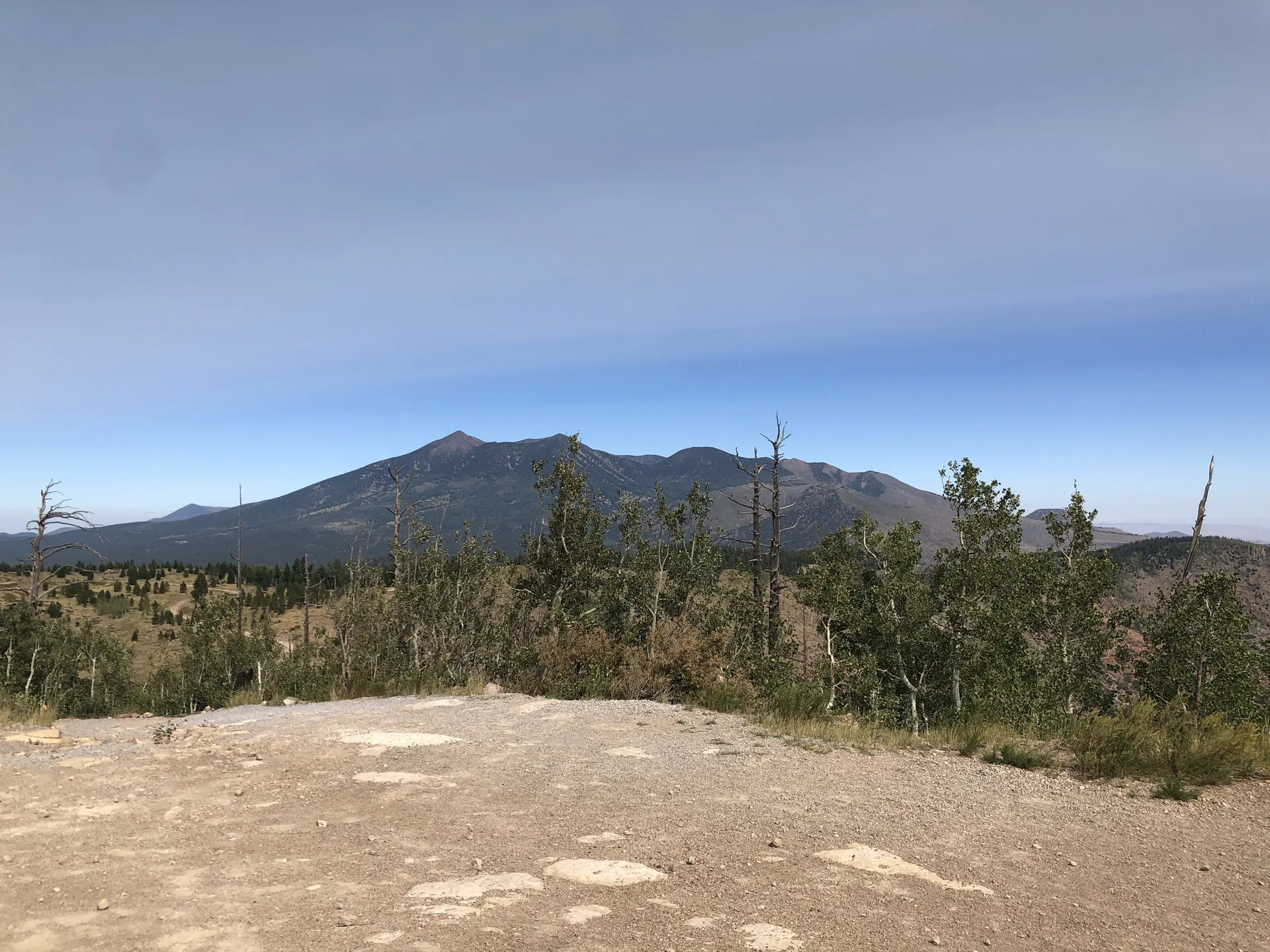 BigBootyJuddy OnlyFans header