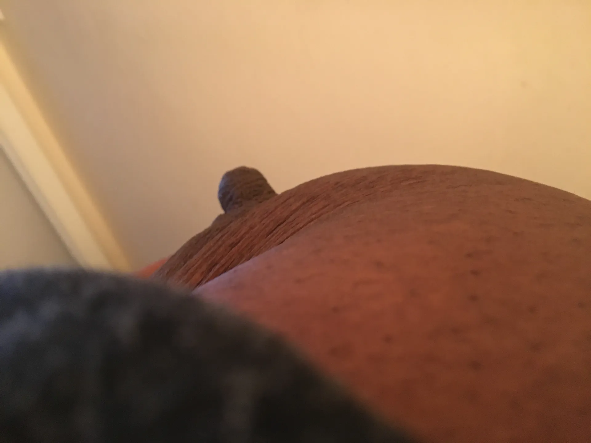 BBW$extrawet OnlyFans header