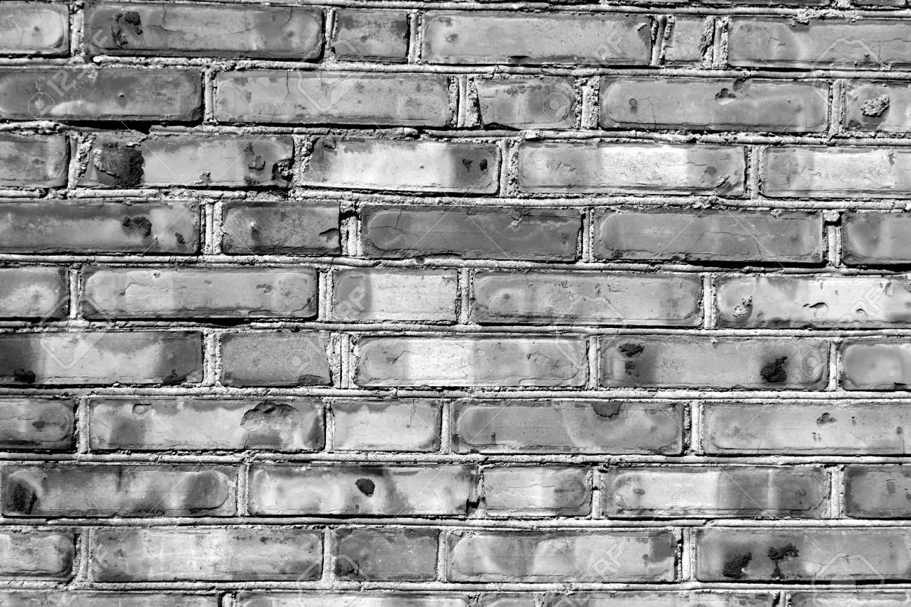 Ari Williams OnlyFans header