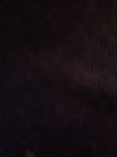 Sasha Mia OnlyFans header