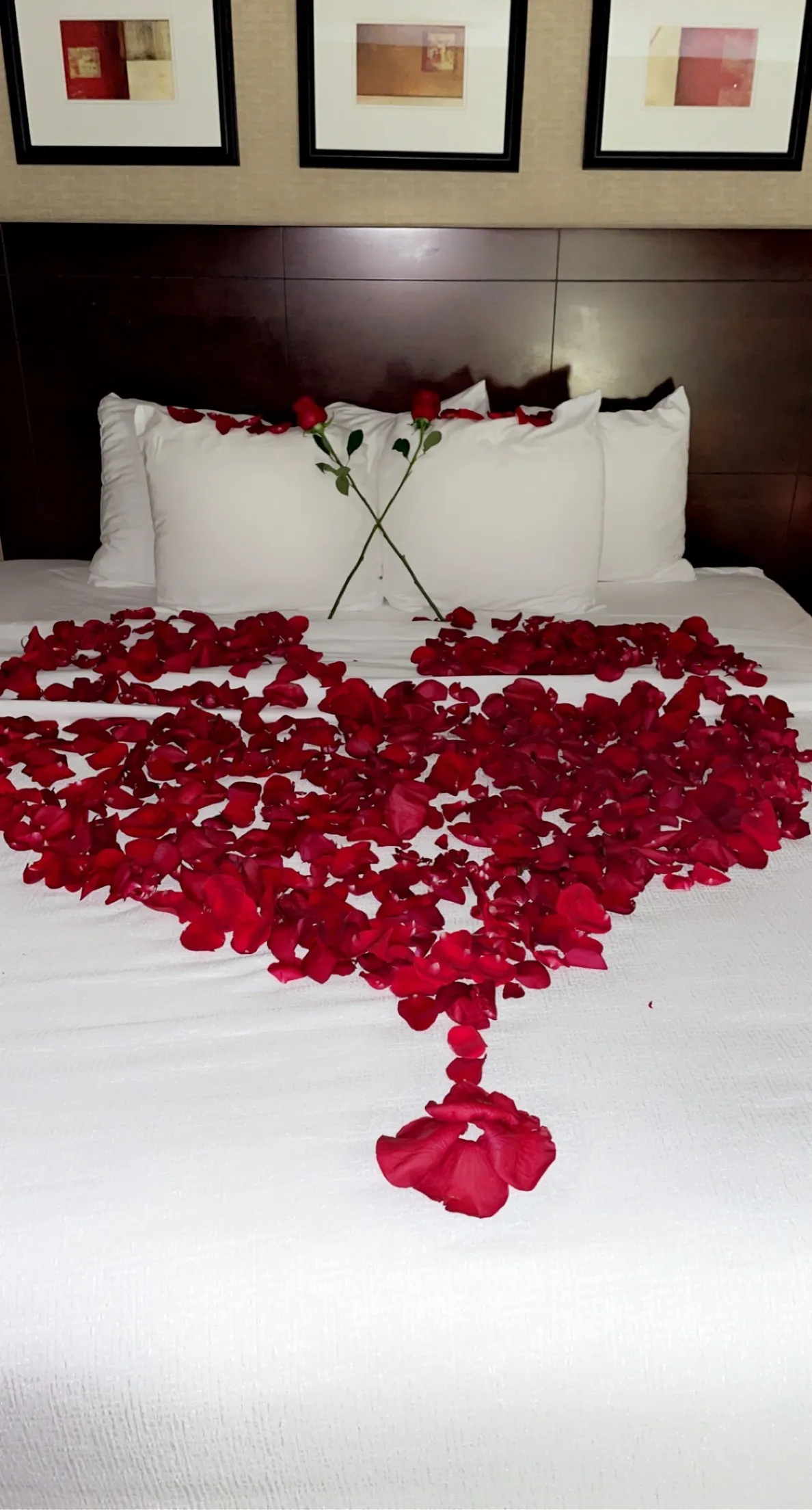 Bigbabycakes OnlyFans header