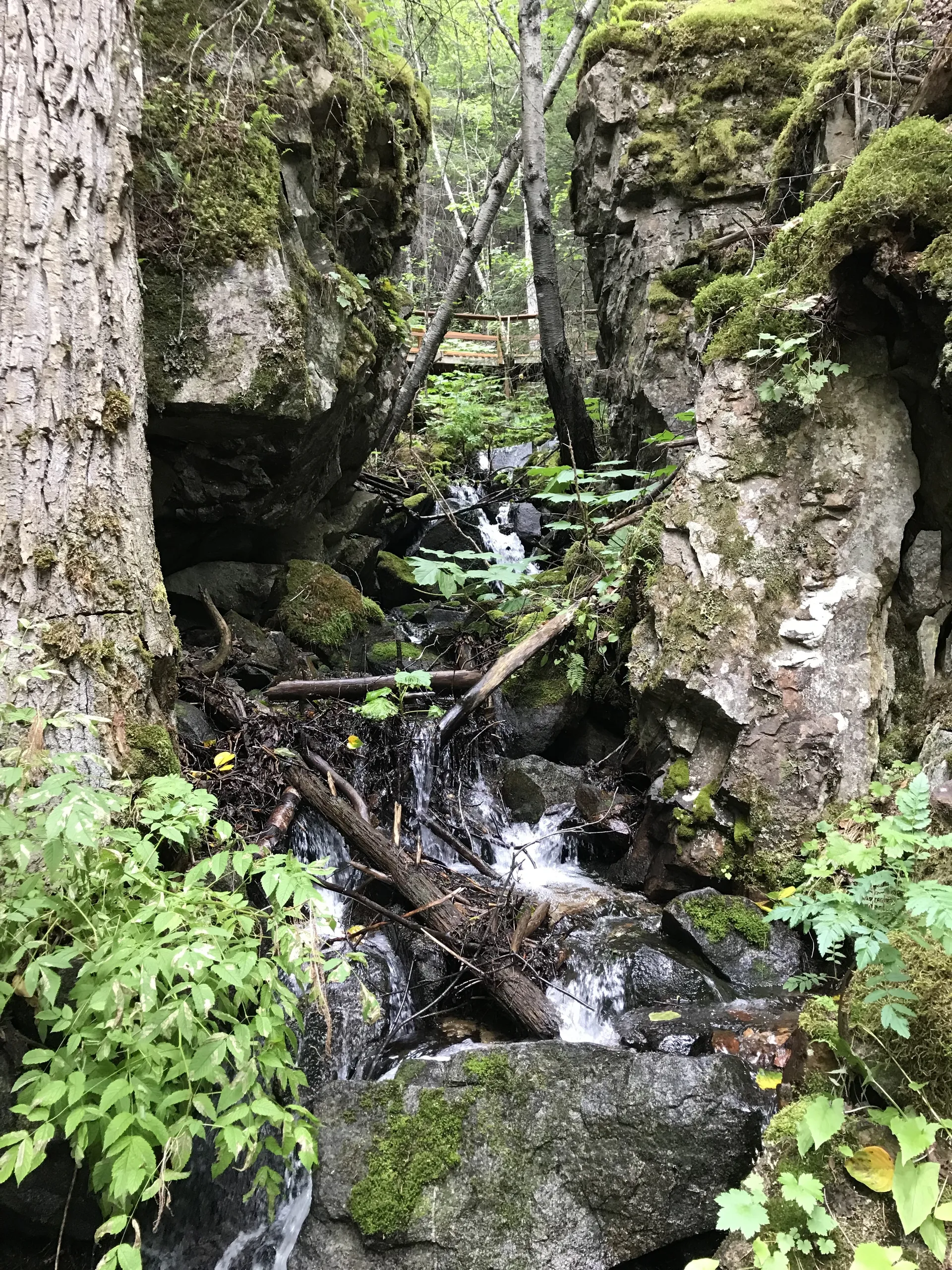 Bigbackdoor OnlyFans header