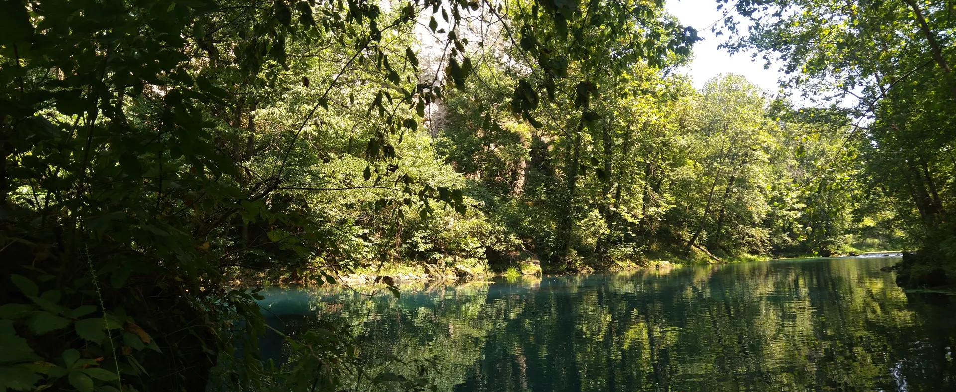 The Coyote OnlyFans header