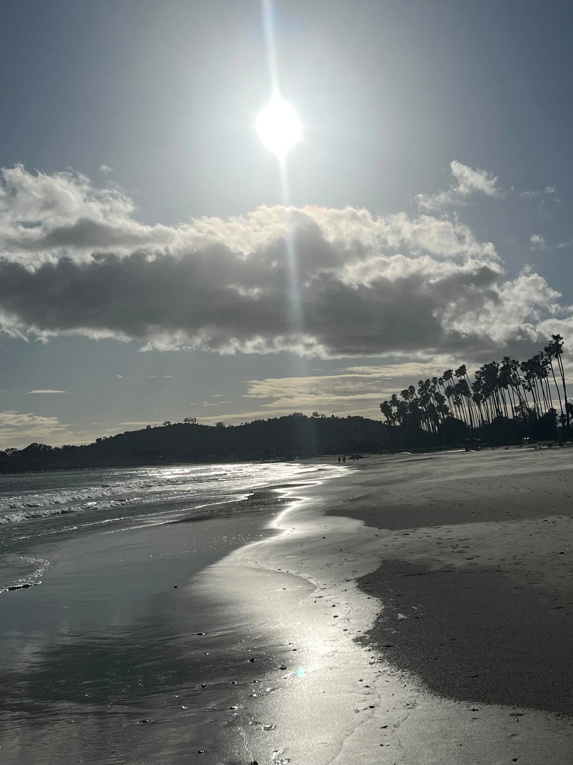 The one and only OnlyFans header